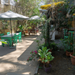 The Rogue Elephant bangalore