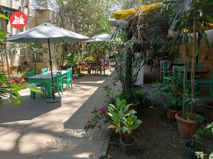 The Rogue Elephant bangalore