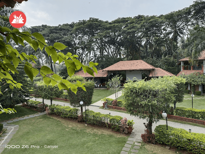 The Roost mysore