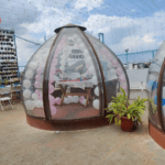 The Dome Cafe bangalore