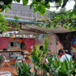 Zoey's bangalore