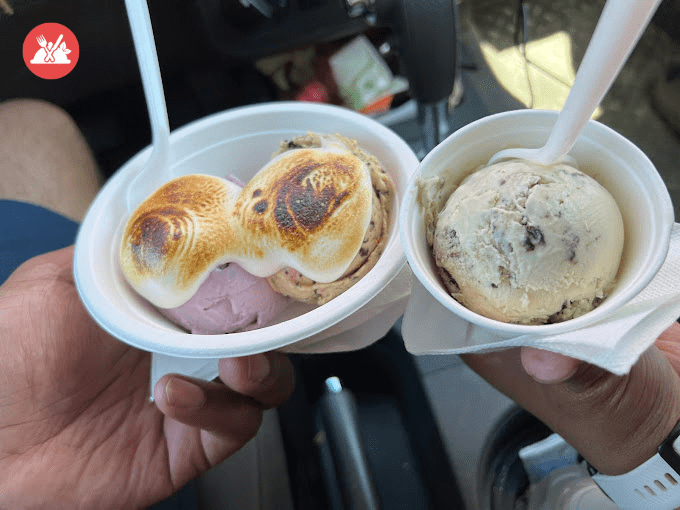Vegan Ice Cream Austin